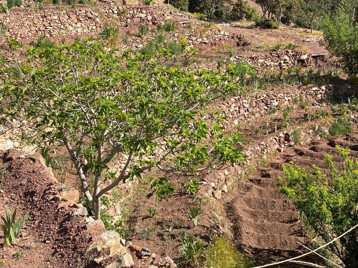 Mezdiout Tizintest La Haute Vue 2100M מראה חיצוני תמונה